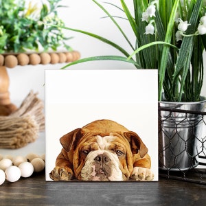 Bulldog Coasters - Set of 4 Coasters - Bulldog owner- gift for Bulldog lover - Bulldog gift - cute dog decor - Bulldog decor - Bulldog mom