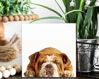 Bulldog Coasters - Set of 4 Coasters - Dueño de Bulldog - regalo para el amante de Bulldog - Regalo de Bulldog - linda decoración de perro - Decoración de Bulldog - Bulldog mom