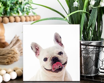 French Bulldog Coasters - Set of 4 Coasters - French Bulldog owner - Frenchie gift - Frenchie coasters - Frenchie décor - French Bulldog mom