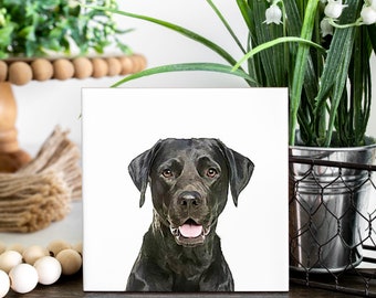 Black Lab Coasters - Set of 4 Coasters - Lab Coasters - black Lab owner- gift for lab lover - lab owner - black lab gift - cute dog decor