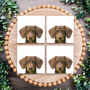 Dachshund Coasters - Set of 4 Coasters - Dachshund owner - Dachshund gift -Dachshund decor - Dachshund mom - funny Dachshund - cute dog