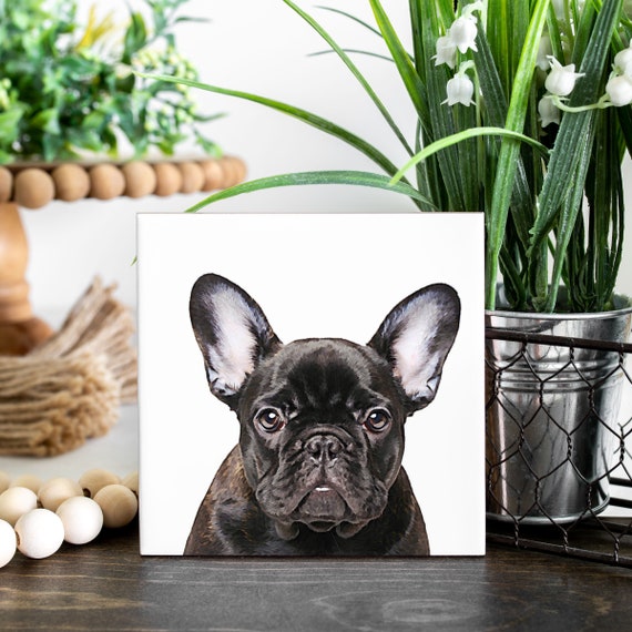 French top bulldog coasters