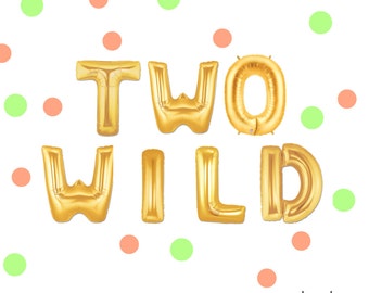 16" TWO WILD balloons/banner. Two year old balloons. Kids party. Second birthday party. Tea for two. Girls night. two wild party.