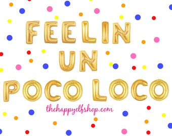 Striscione con palloncini Feelin' Un Poco Loco: decorazioni per feste Coco