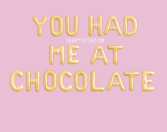 16" you had me at chocolate balloons/banner. Valentines balloons.galentines party. Galentines day. valentine birthday. 2 cute.