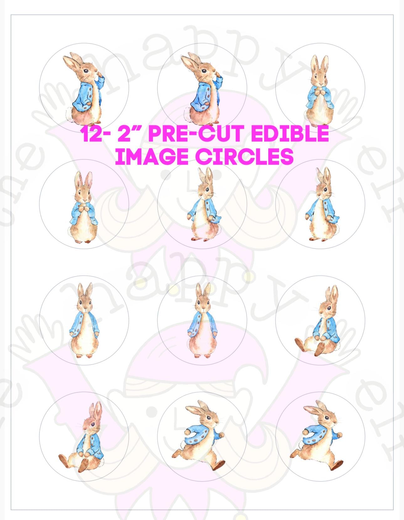 Peter Rabbit Icing Circles - Edible Cupcake Toppers - 2