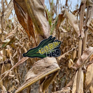 May include: A close-up of a corn cob sticker with the words "Corn Fed" on it. The sticker is placed on a stalk of dried corn in a field.