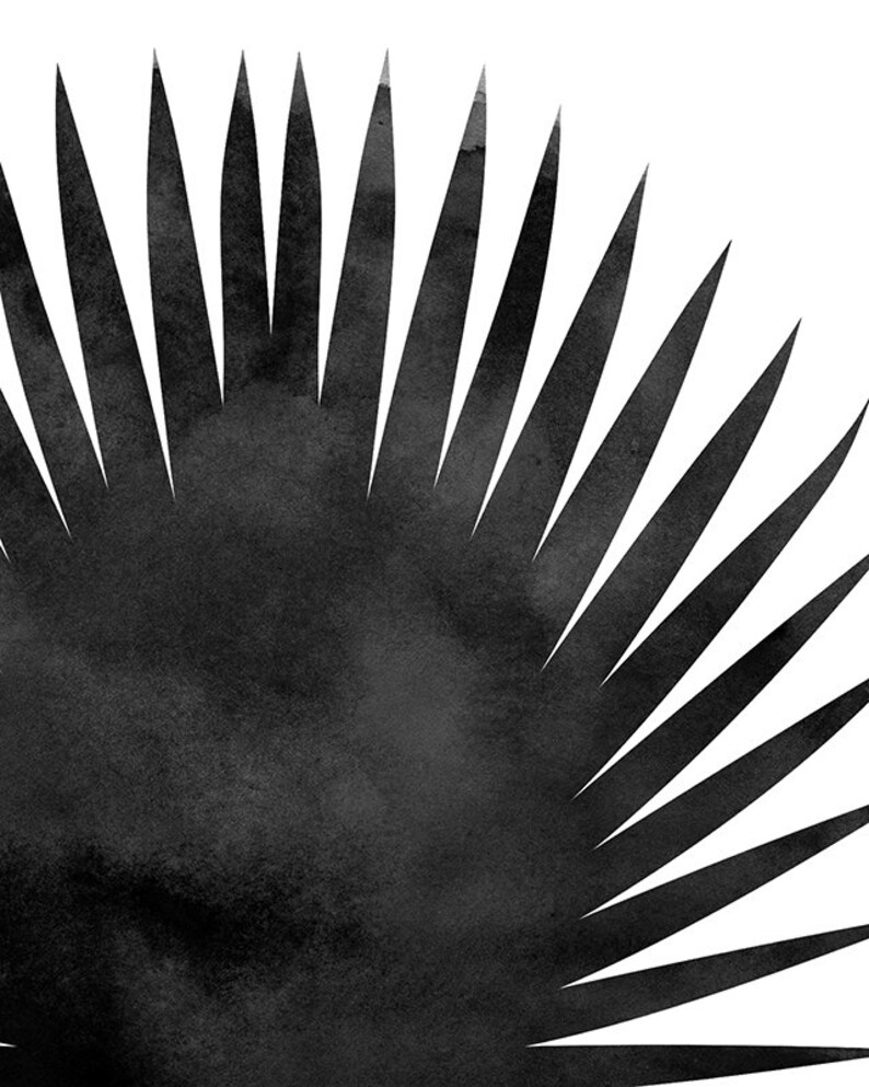 Botanical Black and White Art Print Palm Leaf Tropical Wall Etsy