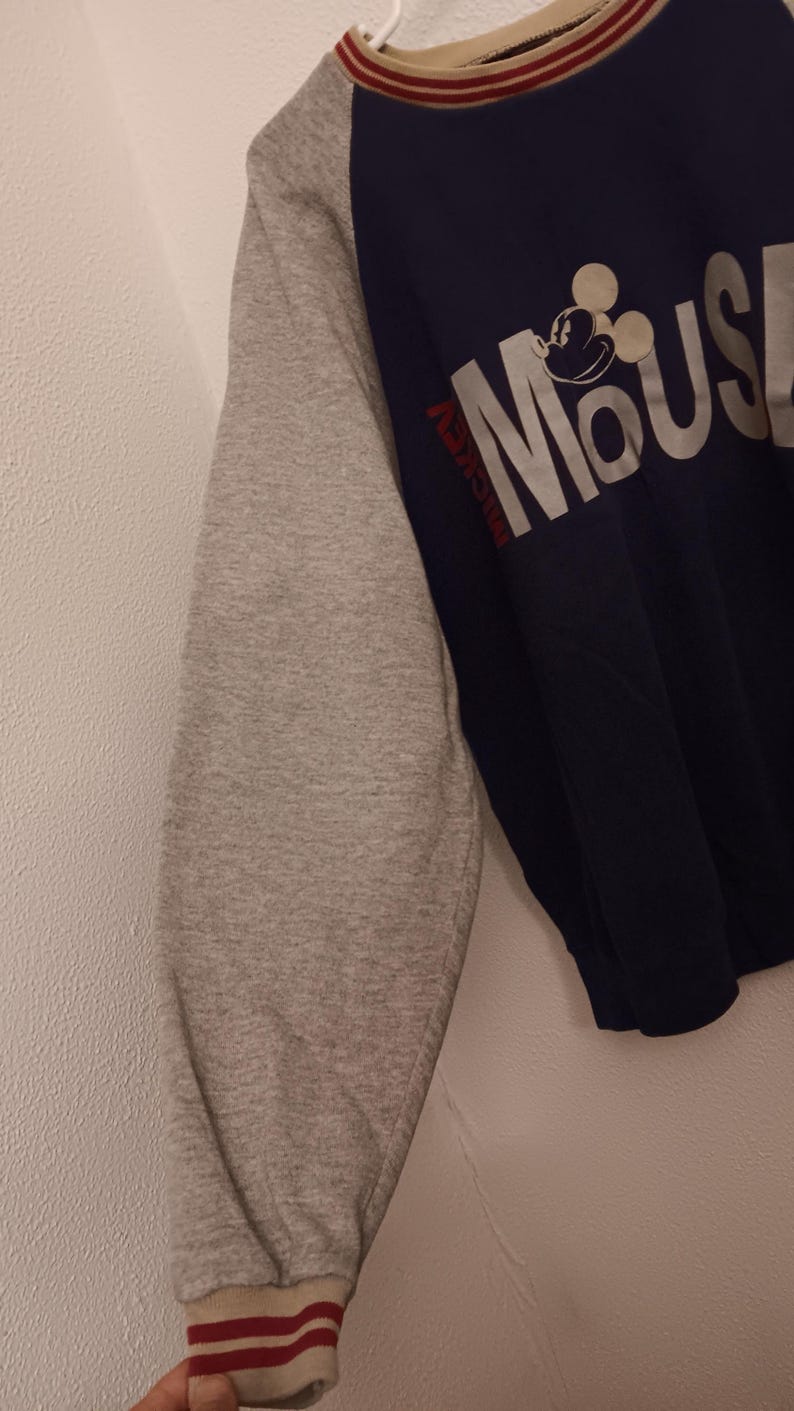 May include: Navy blue and gray raglan-sleeve sweatshirt featuring the word "MOUSE" in large white letters with a Mickey Mouse graphic. The sleeve is gray with a red and white striped cuff. The word "Mickey" is printed in red.