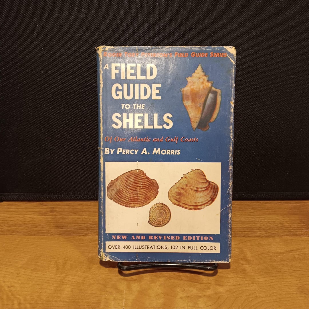 Shells Field Guide Vintage 1960 Field Guide to Shells by Percy A. Morris HC/DJ - Etsy