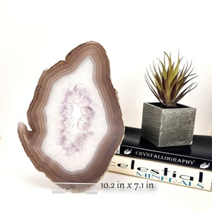 Natural Agate Slice (Extra Large) w/Free Acrylic Easel Stand