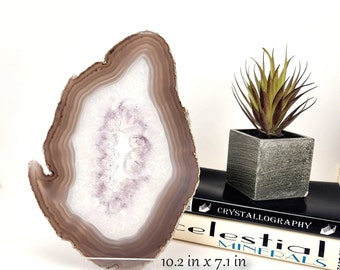 May include: A polished agate slice, showcasing concentric bands of brown, white, and lavender hues. The stone is mounted on a clear acrylic stand. Dimensions are 10.2 inches by 7.1 inches. A small potted plant and books are in the background.