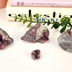 May include: Four raw mineral specimens with a mix of gray, white, and deep red hues. The crystals have a rough, natural texture. The minerals are arranged on a white surface, with a book and greenery in the background. The book's title is partially visible.