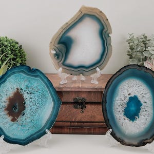 May include: Three polished agate slices in shades of blue, white, and brown are displayed on clear stands. The agate slices have unique patterns and textures, with a wooden chest and potted plants in the background.