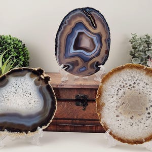 May include: Three polished agate slices on clear stands. The slices display concentric bands of colour, including brown, white, blue, and tan. The agate slices are round and vary in size, showcasing natural patterns and textures.