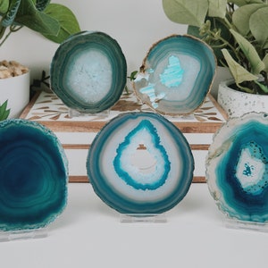 May include: Five agate slices in shades of teal, turquoise, and white, each with unique patterns and textures. The polished stones are displayed on clear stands, showcasing their natural beauty. The slices vary in size and shape, with visible concentric banding.