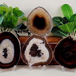 Dark Brown "Black" Agate Slice w/ Free Stand (Avg. 4.5-6.0 inches)