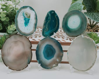 Op de afbeelding: Een verzameling agaat schijven in verschillende vormen en kleuren, waaronder teal, blauw en bruin. Elke schijf wordt gepresenteerd op een transparante standaard, die de natuurlijke patronen en texturen van de steen benadrukt. De opstelling staat tegen een achtergrond van groen.