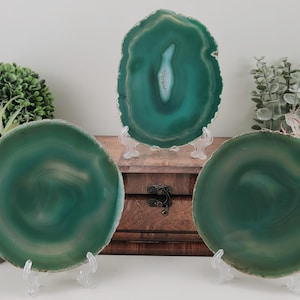 May include: Three polished agate slices in shades of green, displayed on clear stands. The agate has concentric banding patterns and natural edges. One slice is oval, and two are circular. The background includes a wooden box and greenery.