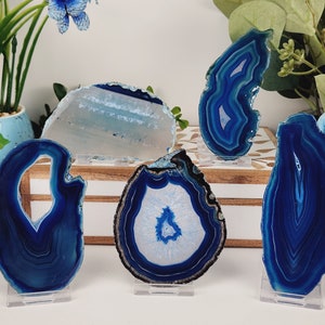 Blue Agate Slice Lot of 5 (Avg. 3.0-4.5 inches)