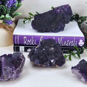 Massive (1lb+) Dark Purple Muzquiz Fluorite Crystal Specimen