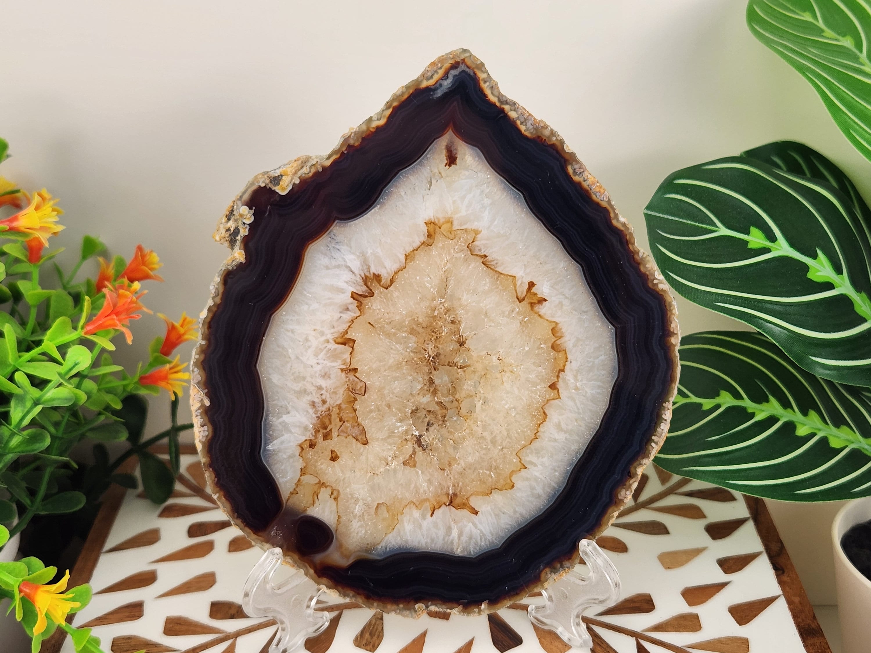 ダークブラウン「ブラック」アゲートスライス、フリースタンド付き