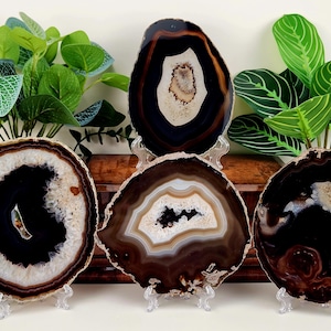 Dark Brown "Black" Agate Slice w/ Free Stand (Avg. 4.5-6.0 inches)
