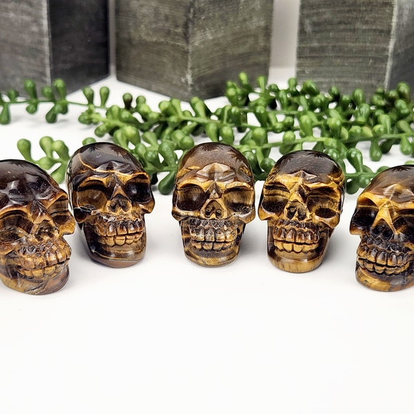 Tiger Eye Skull Etsy