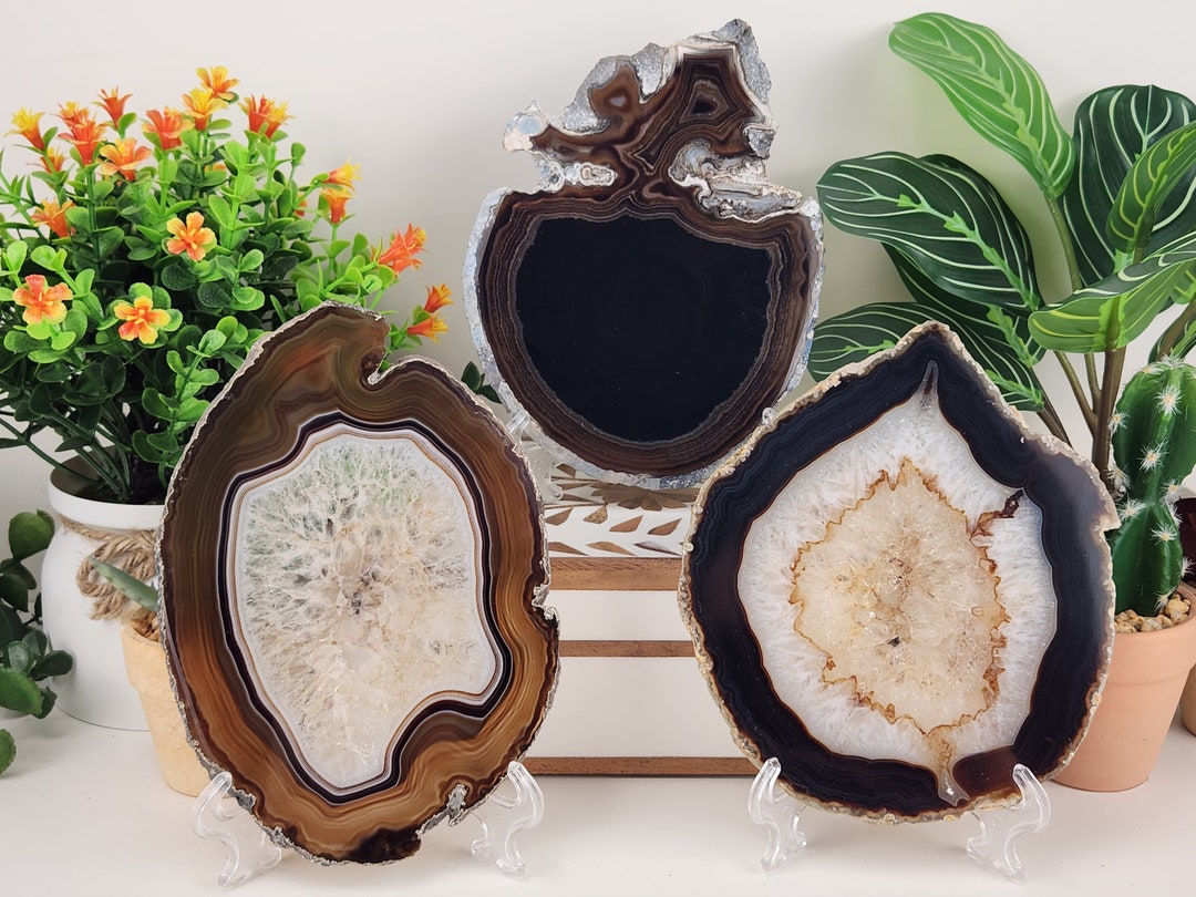 ダークブラウン「ブラック」アゲートスライス、フリースタンド付き