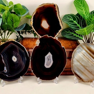 Dark Brown "Black" Agate Slice w/ Free Stand (Avg. 4.5-6.0 inches)