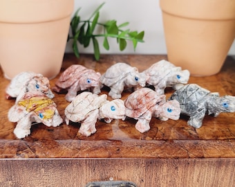 May include: A collection of small, carved stone turtle figurines. The turtles vary in color, including white, gray, and reddish-brown, with blue eyes. The figurines are displayed on a wooden surface, suggesting a decorative or collectible theme.