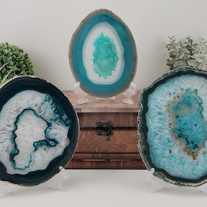 May include: Three polished agate slices in shades of teal, white, and brown are displayed on clear stands. The slices vary in size and shape, showcasing natural patterns and textures. The background includes greenery and a wooden chest.
