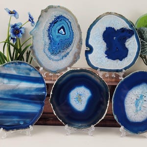 May include: A collection of six blue agate slices displayed on clear stands. The slices vary in shape and pattern, showcasing concentric rings of white, light blue, and deep blue hues. These decorative pieces are ideal for home decor.