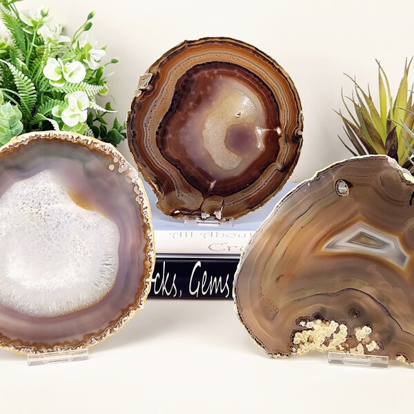 Natural Agate Slice w/ Free Stand (Large Avg. 5.5-6.5 inches)