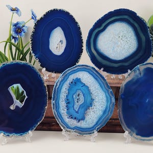 May include: Six polished agate slices in shades of blue and white are displayed on clear stands. The slices vary in size and pattern, with concentric rings and crystal formations. The edges are a darker blue, and the centres are lighter.