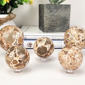 Leopardite Jasper Crystal Sphere with Stand