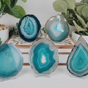 May include: A collection of five polished agate slices in shades of teal, turquoise, and gray. Each slice is displayed on a clear acrylic stand, showcasing the natural banding patterns. The slices vary in shape and size, with a focus on the unique mineral formations.