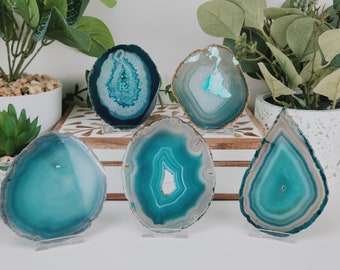 Teal Agate Slice Lot of 5 (Avg. 3.0-4.5 inches)