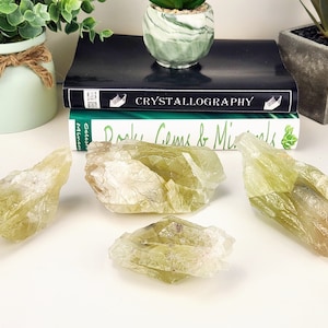 May include: Four raw, light green calcite crystal clusters are displayed on a white surface. The crystals have a translucent appearance with visible internal structures. The crystals are arranged near books and decorative plants.