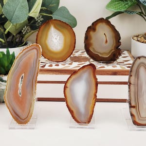 Puede incluir: Colección de rodajas de ágata pulidas en tonos marrón, blanco y naranja, expuestas sobre soportes transparentes. Las rodajas de piedra natural varían en tamaño y forma, mostrando patrones y texturas únicos. Elementos decorativos para el hogar.