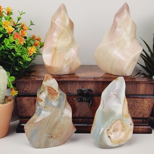 Può includere: Quattro sculture in pietra lucida a forma di fiamma. Le pietre hanno un mix di colori, tra cui beige, rosa, grigio e marrone. Le sculture sono esposte su una scatola di legno con piante sullo sfondo.