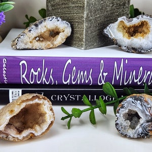 Könnte beinhalten: Vier Geoden mit kristallinen Innenräumen liegen in der Nähe von Büchern mit den Titeln "Rocks, Gems & Minerals" und "Crystallography". Die Geoden haben weiße, braune und graue Farben. Grün und eine Vase mit lila Blumen sind ebenfalls im Bild.