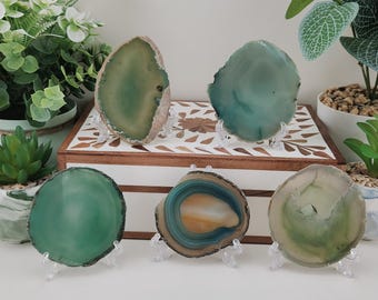May include: Six polished agate slices in shades of green, blue, and brown, displayed on clear stands. The agate slices have unique patterns and textures, showcasing natural beauty. Decorative home decor.