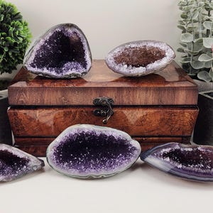 May include: A collection of amethyst geodes in various shapes and sizes. The geodes are a deep purple color with crystal formations inside. They are displayed on and around a wooden box with a decorative clasp. Green plants are in the background.