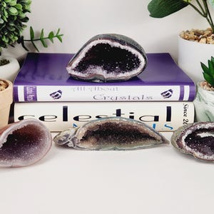 May include: Several amethyst geodes with crystal formations are displayed. The geodes vary in size and shape, with a range of colors from deep purple to light lavender. The geodes are arranged near potted plants and books.