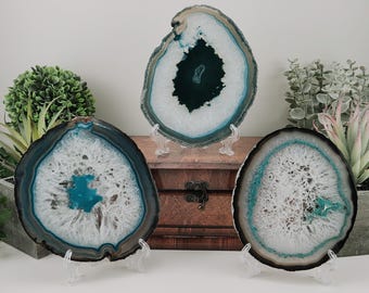 Teal Agate Slice w/ Free Stand (Large Avg. 5.5-6.5 inches)