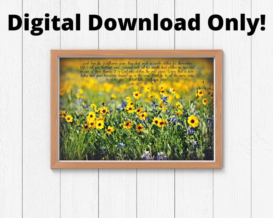 Wildflower Photography Digital Download/ Scripture Wall Art/ Luke 12:27 ...