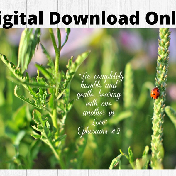 Lady Bug Photography/Digital Download/ Printable/Ephesians 4:2/ Scripture Wall Art