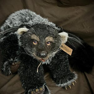 Handmade Binturong (about 40 cm long, tail excluded) Polymer clay creature, OOAK, made in Italy image 4