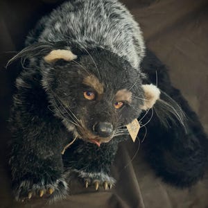May include: A handmade plush toy of a black and gray animal with amber eyes and a small tag. The plush has a long body, a furry texture, and detailed paws. The animal's fur is a mix of black and gray, with a lighter color around the ears.